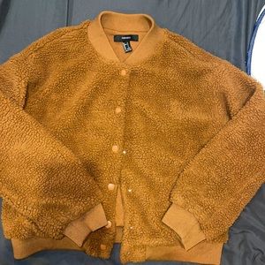 Teddy bomber